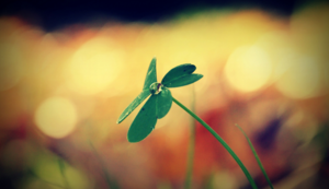 马来西亚射击队夺冠，拿下多面奖牌