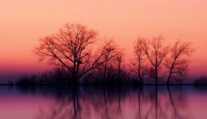 小将双11+10+11难敌全场0三分，太阳想赛后寻找答案