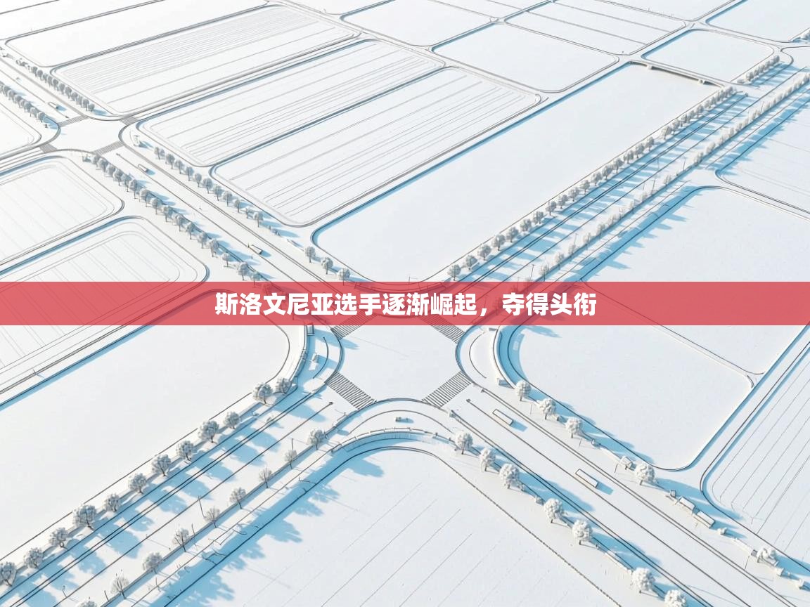 斯洛文尼亚选手逐渐崛起，夺得头衔  第1张