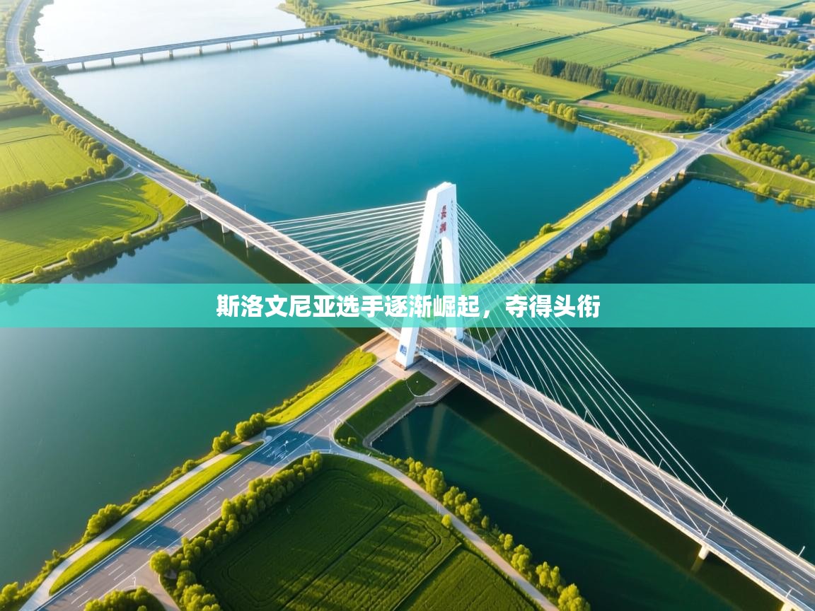 斯洛文尼亚选手逐渐崛起，夺得头衔  第2张