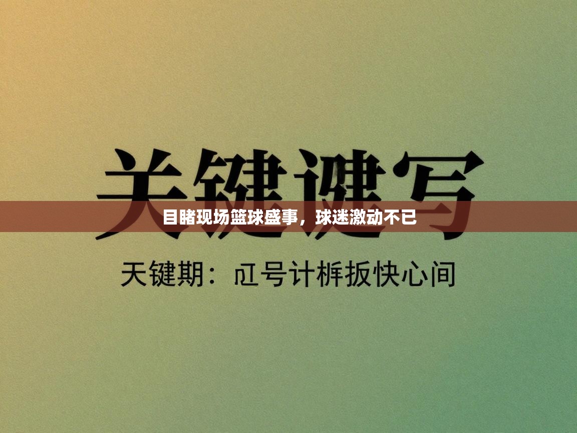 目睹现场篮球盛事,球迷激动不已