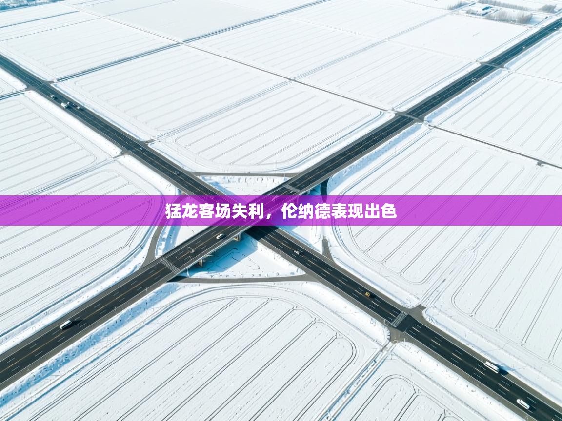 猛龙客场失利，伦纳德表现出色  第1张