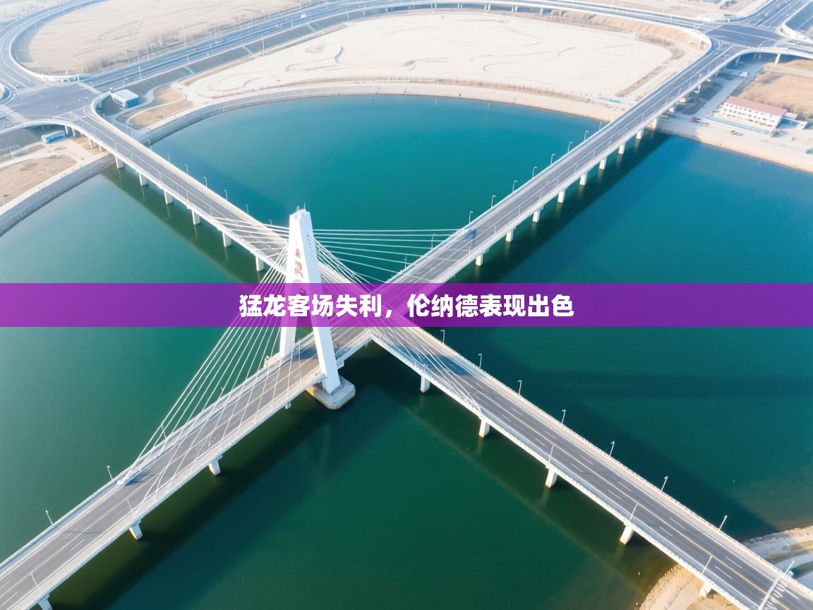 猛龙客场失利，伦纳德表现出色  第2张