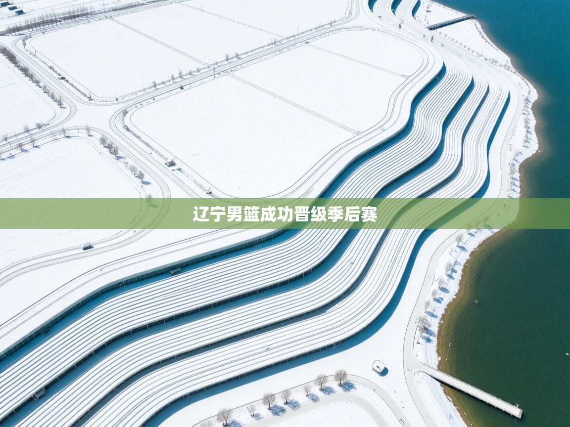 辽宁男篮成功晋级季后赛