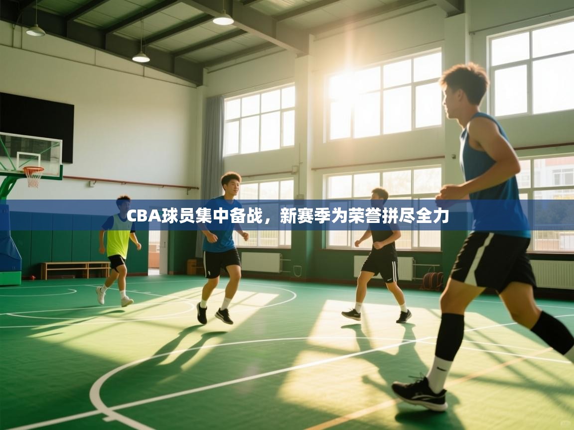 CBA球员集中备战，新赛季为荣誉拼尽全力
